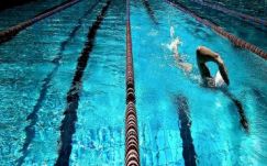 Papp Sándor Zsigmond: Aranyérmes uszítás