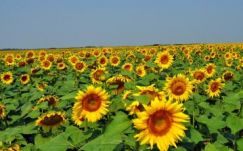 Megszabadulunk a hét végén az esőktől