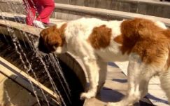 A következő két hétben az eső mellett egy kis jó idő is lesz