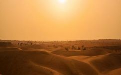 Ágoston Hugó: Kit ki tüntet ki? 