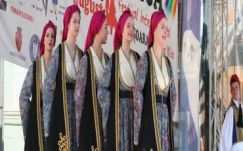 Székedi Ferenc: Derűs Segesvár