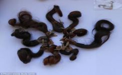 Hajtincsek rejthetik a Bounty lázadóinak egyik utolsó titkát