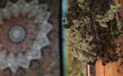 KISEBBSÉGBEN: /dj/Emberek a havason…