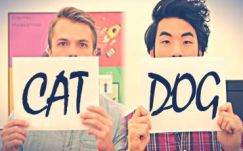 Kutyatartókat és macskatartókat hasonlított össze a Facebook