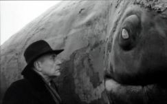 Egy román és négy magyar film a 21. század legjobbjai között