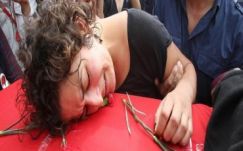 Gál Mária: Kurdisztán gesztenyéje