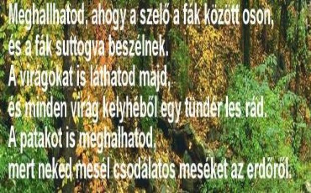 Demény Péter: Utánpótlás
