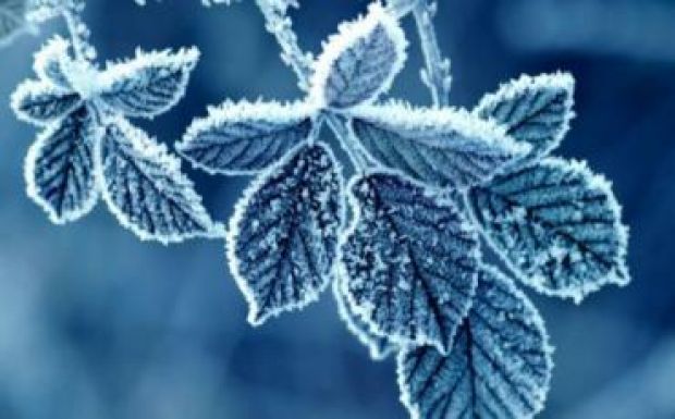 Mínusz két fok alá csökkent a hőmérséklet Csíkszeredában