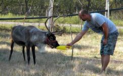 Vállalkozás lett a hobbiból indult vadállatkereskedésből 