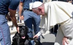 Hős mentőkutyával találkozott Ferenc pápa