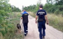 Magyarországról Romániába akart szökni egy guineai férfi