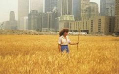 KISEBBSÉGBEN: Kis gesztusok, természetművészet, öko-avantgárd