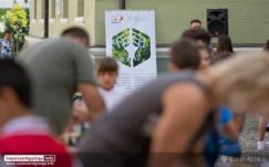 Környezetvédelmi aktivisták a Schweighofer miatt kérik számon a Mikó-t