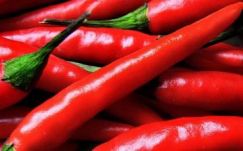A magyar paprika a díszvendég az olaszországi chili-fesztiválon