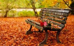 Ilyen lesz az idő a következő két hétben