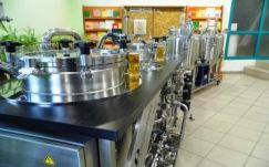 Sört is gyártanak majd a csíki sapisok