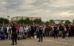 Újabb harminc embert toloncoltak ki a calais-i migránstáborból