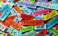 Romániában jóval több kisiskolás tanul idegen nyelvet, mint Magyarországon