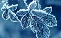 Mínusz két fok alá csökkent a hőmérséklet Csíkszeredában