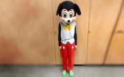 Miki egérre csaptak le a rendőrök