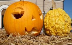 Csík zenekar, vásárosok és folklórműsor a szentgyörgyi Őszi Vásáron