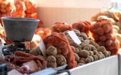 Pityókatermés: épp, hogy megtermeltük a tokányba valót