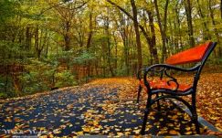 Szokatlanul meleg lesz a hét végén