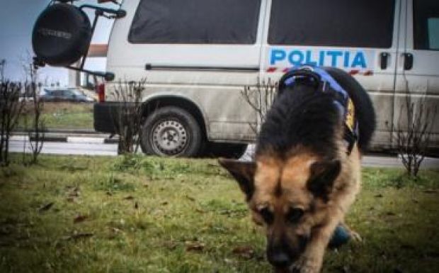 Három kiskorú eltűnt otthonról Székelyföldön, mindhárman előkerültek