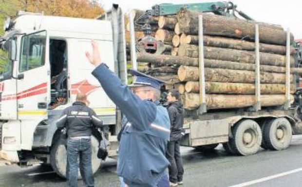 Hamarosan őrség védi erdeinket, elkobozhatják a fatolvajok teherautóit