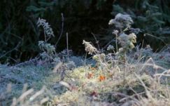 Vége a jó időnek, Székelyföldön akár havazás is lehet