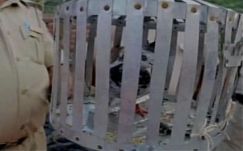 Őrizetbe vettek egy galambot Indiában