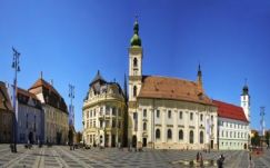 Székedi Ferenc: Szolidaritás