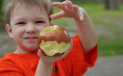 Friss gyümölcsöt kapnak az óvodások is 