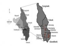 Székedi Ferenc: Földközelben