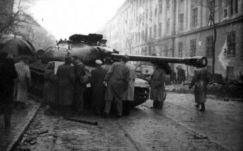 KISEBBSÉGBEN: Tizenöt 1956-os fénykép emlékezete