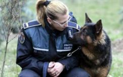 Több ezer rendőri állás: sokan kutyás járőrök lennének Székelyföldön