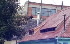 Medve futkorászik Nagyszeben központjában