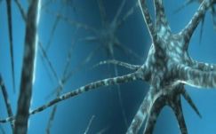 Krebsz János: Utórezgés