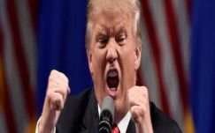 Gál Mária: Amerika európaiasodása