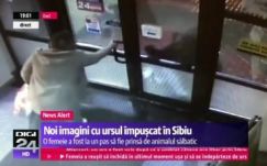 Emberre is támadt a Nagyszeben központjában bolyongó medve