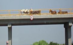 Krebsz János: Autópálya