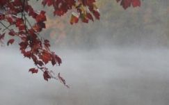 Ilyen lesz az időjárás ezen a héten