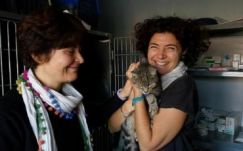 Újabb túlélő kismacska került elő az olaszországi földrengés romjai alól