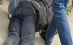 Sebestyén Mihály: Honi anomáliák