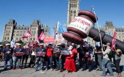 Ezek lehetnek az EU-Kanada szabadkereskedelmi egyezmény előnyei