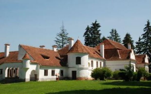 Interdiszciplináris műhelytábort szerveznek az olaszteleki Daniel-kastélyban