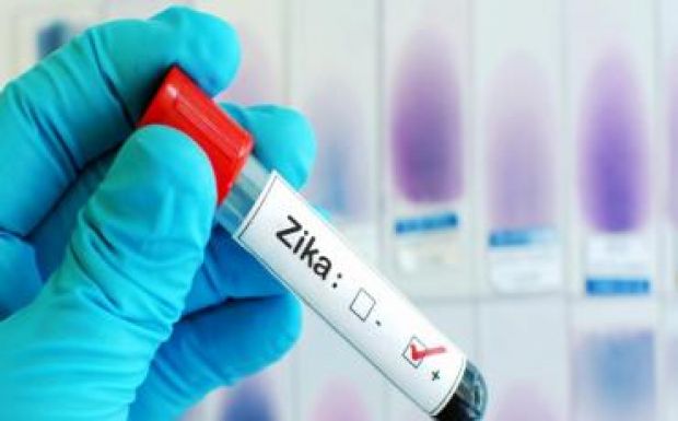 Zika-láz: feloldották a globális vészhelyzetet