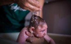 Tartós károsodást okoz a hímivarszervekben a zikavírus