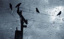 Csapadékos, enyhe idő várható a hét elején az ország egy részében