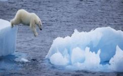 Bíró Béla: Aggodalmas derűlátás